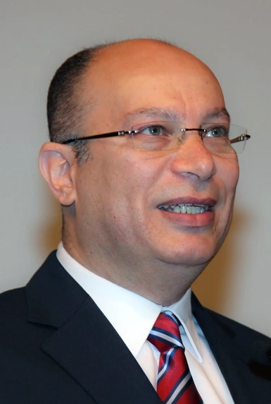 م. محمد مختار الرفاعي، مهندس معماري